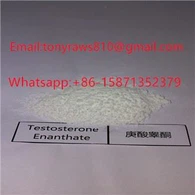 CAS 315-37-7 Steroīdu pulveris