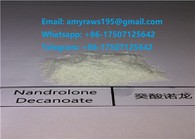 Nandrolo Decanoa muskuļu kultūrisms pulveris injicējamiem steroīdiem