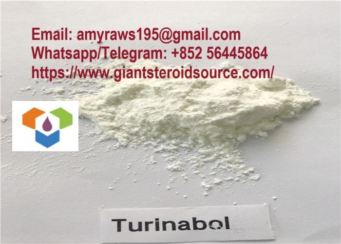Hot Sell Turinabol / 4-Hlorotestosterona acetāts / Clostebol Acetate Body Fitness steroīdu pulveris