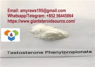Augstas tīrības pakāpes testosterona fenilpropionāta testosterona neapstrādāts steroīdu pulveris CAS 1255-49-8 Ķīnas piegādātāji