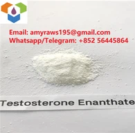 Testosterona enantāta neapstrādāts pulveris CAS 315-37-7